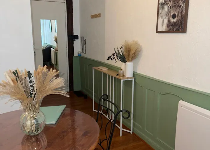 Διαμέρισμα Dans Le Centre Bagnères-de-Bigorre