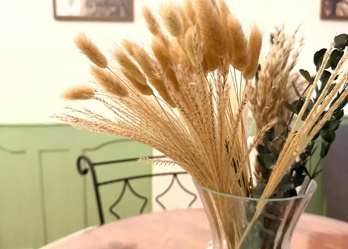 Dans Le Centre Διαμέρισμα Bagnères-de-Bigorre